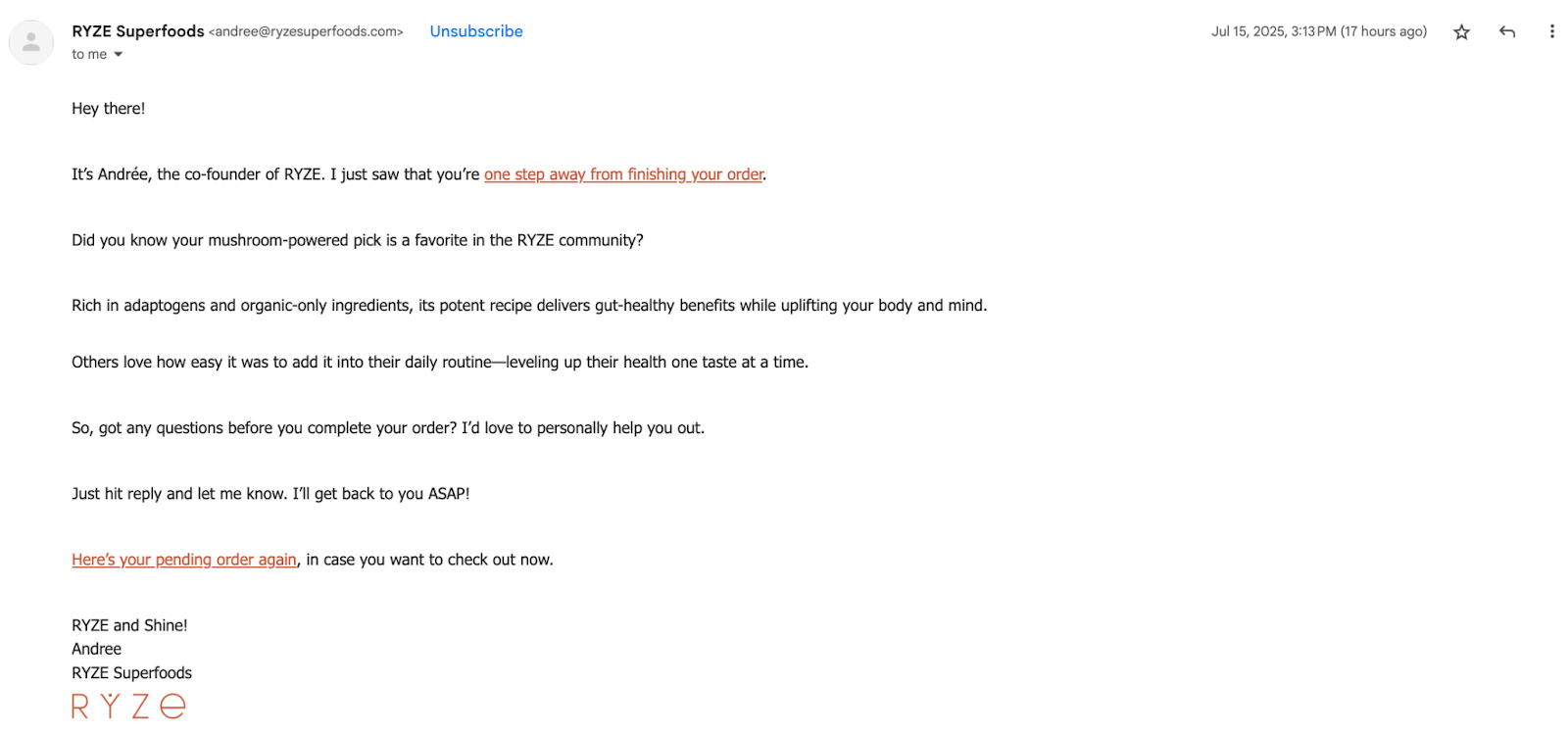 Ryze által küldött email.
