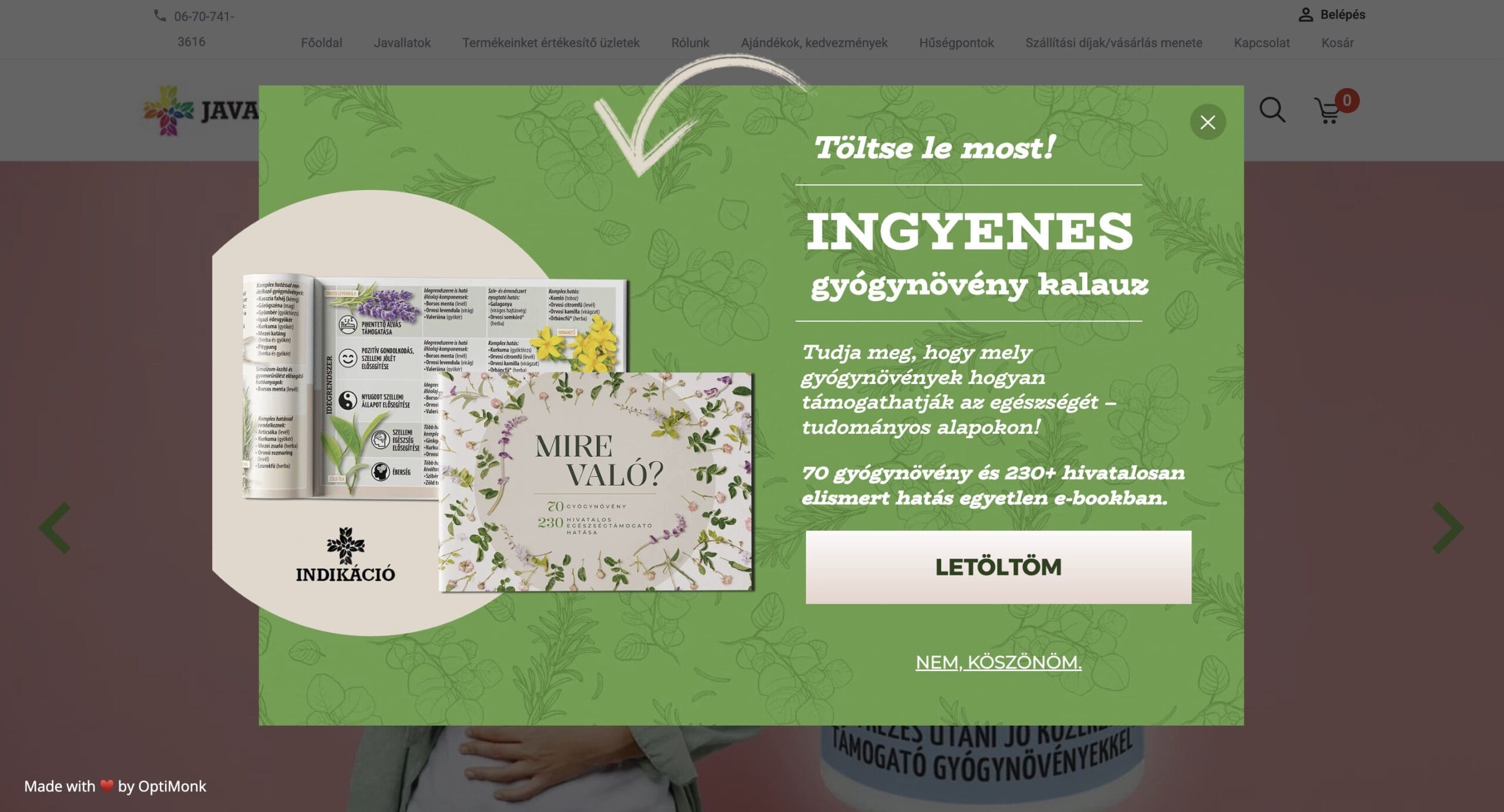 Ingyenes e-book ajánlat lead generáláshoz