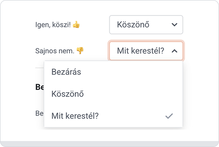 Elágazó kérdőív